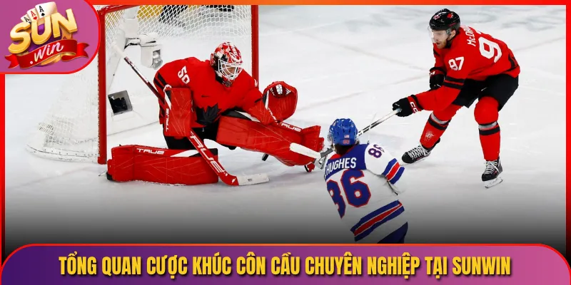 Tổng Quan Cược Khúc Côn Cầu Chuyên Nghiệp Tại Sunwin