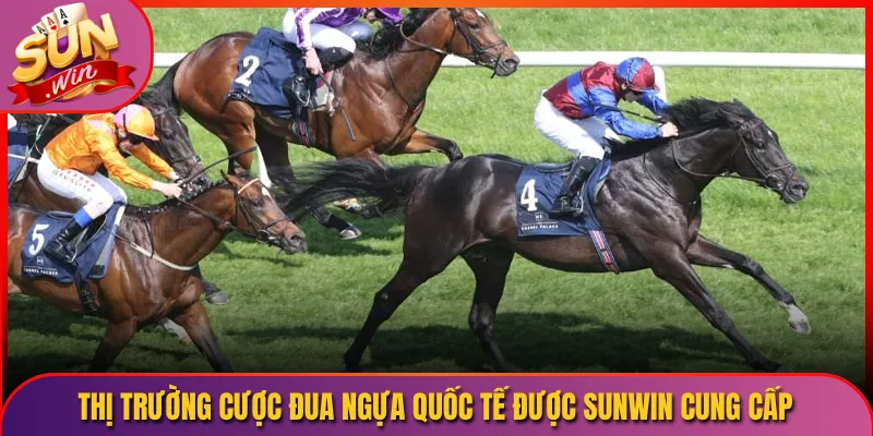 Thị Trường Cược Đua Ngựa Quốc Tế Được Sunwin Cung Cấp