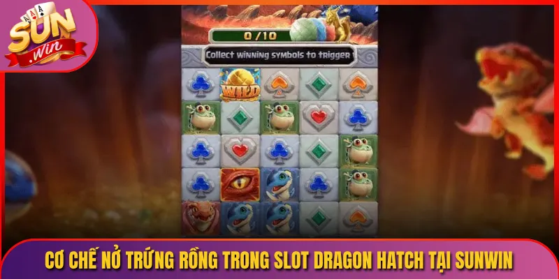 Cơ Chế Nở Trứng Rồng Trong Slot Dragon Hatch Tại Sunwin