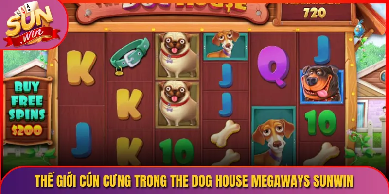 Thế Giới Cún Cưng Trong The Dog House Megaways Sunwin