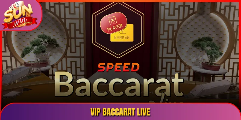 VIP Baccarat Live